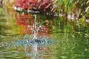 icefree 4 saisons.webp