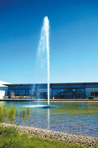 Geyser.webp